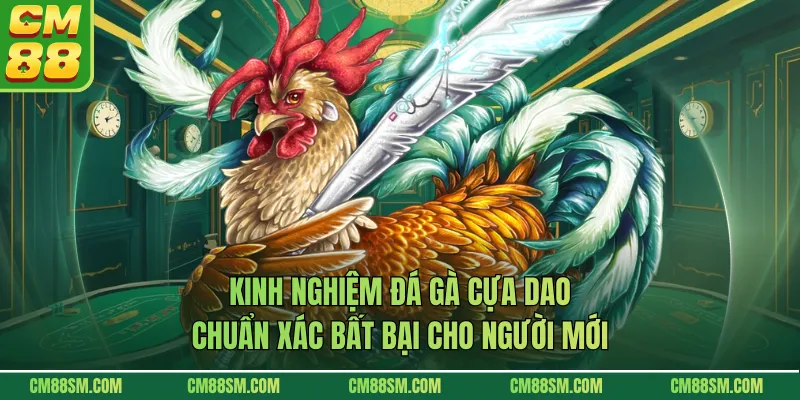 Kinh Nghiệm Đá Gà Cựa Dao Chuẩn Xác Bất Bại Cho Người Mới
